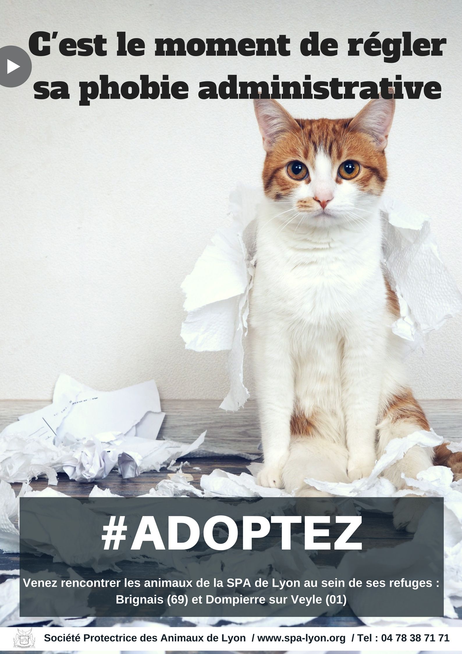 Nouvelle campagne La SPA de Lyon se mobilise pour l’adoption SPA de Lyon et du SudEst