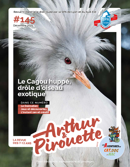 Arthur et Pirouette 147