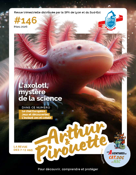 Couverture du magazine Arthur et Pirouette numéro 146 de mars 2026