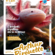 Couverture du magazine Arthur et Pirouette numéro 146 de mars 2026