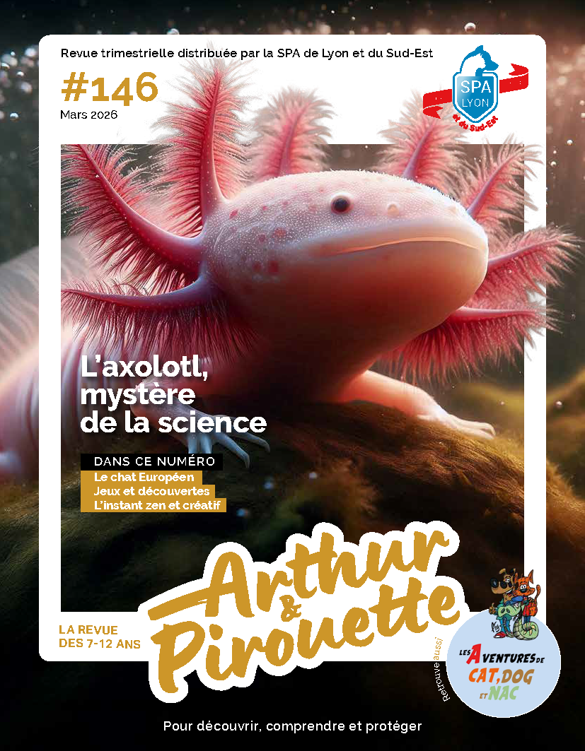 Couverture du magazine Arthur et Pirouette numéro 146 de mars 2026