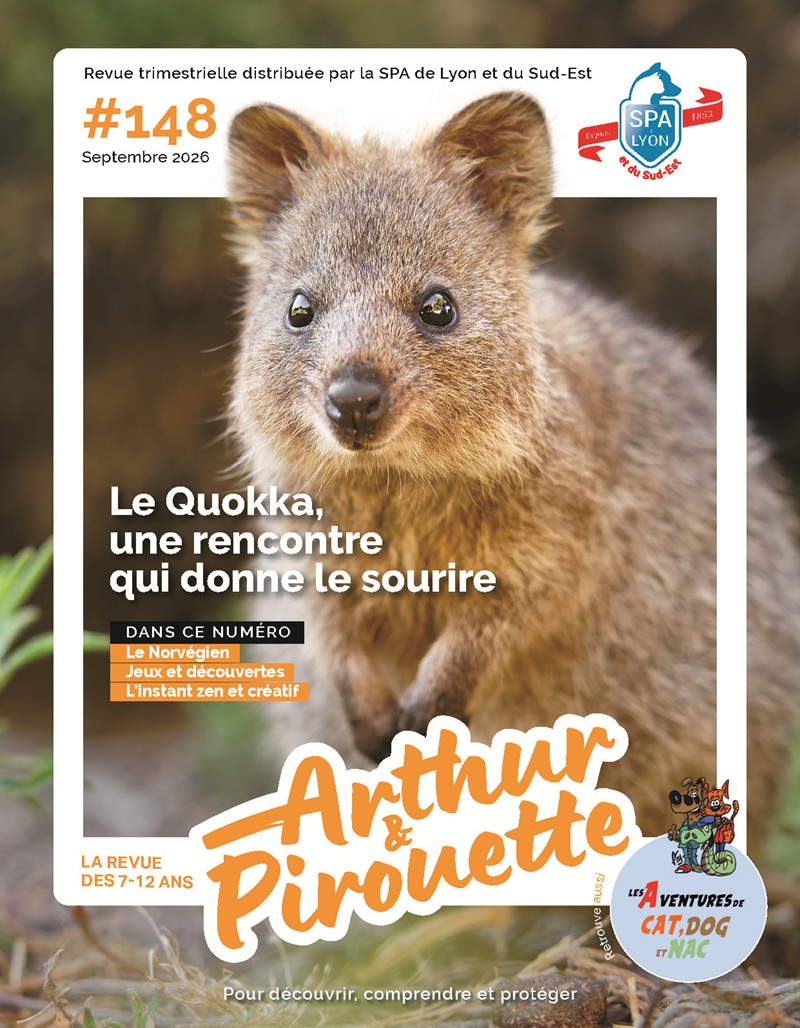 Couv-A&P-N°148-Sept2026 Couverture revue arthur et pirouette numéro 148 de septembre 2026