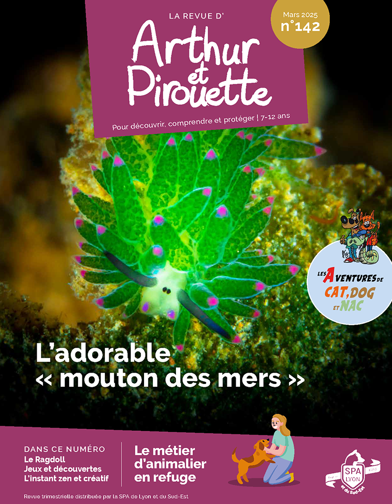 Couverture revue Arthur et Pirouette n°142 mars 2025