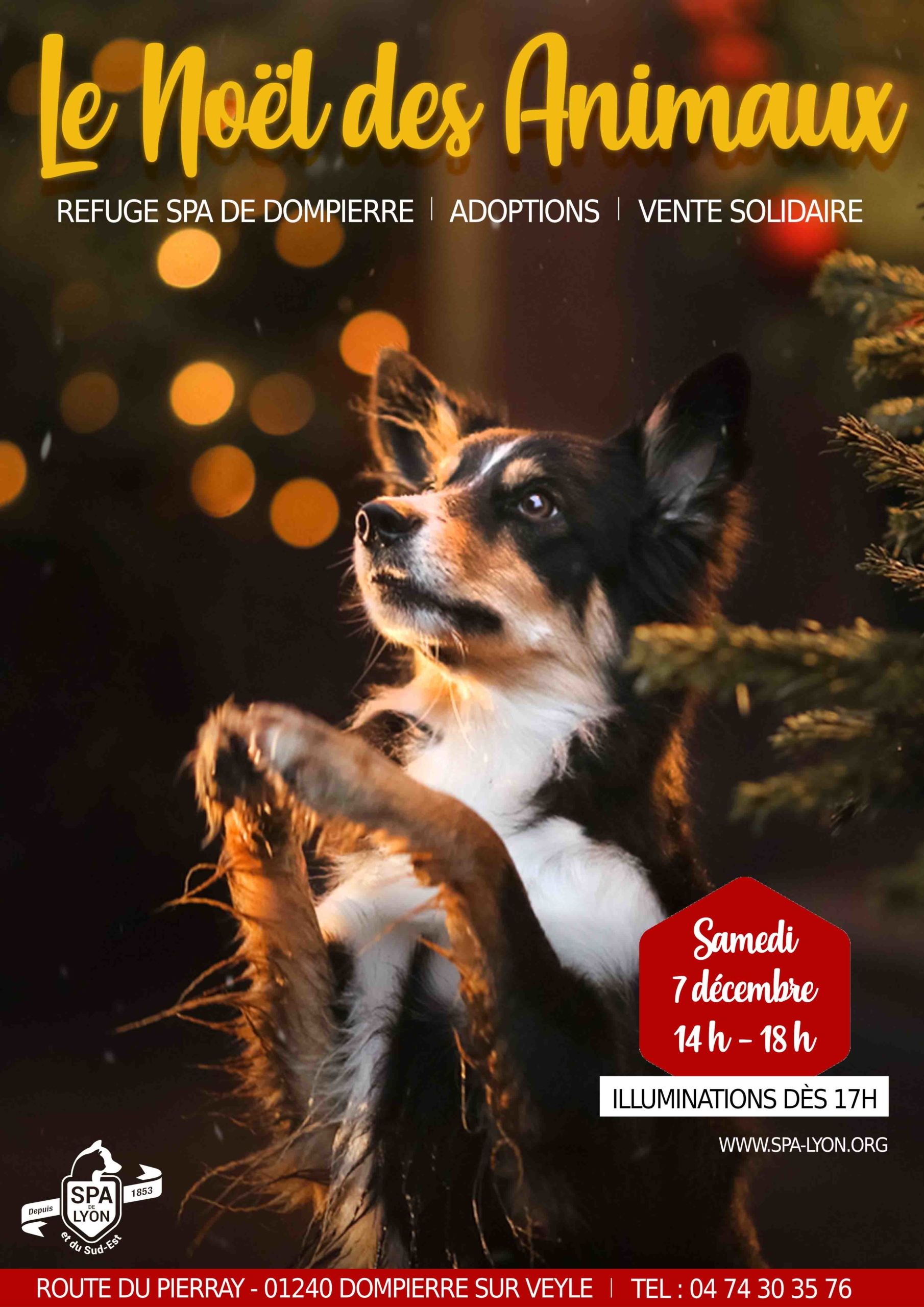 Noel Des Animaux Au Refuge De Dompierre Le 7 12 Spa De Lyon Et Du Sud Est Noel Des Animaux Au Refuge De Dompierre Le 7 12 Spa De Lyon Et Du Sud Est