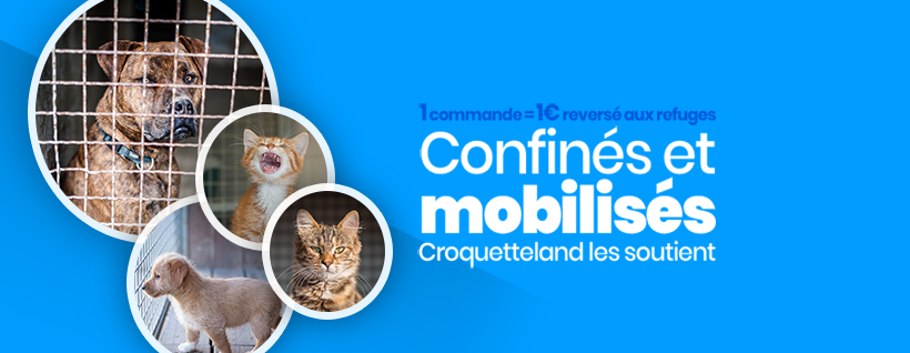 1Commande1EurosAuxRefuges-Croquetteland