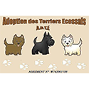 Adoption-Terriers-Ecossais