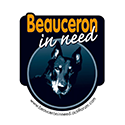 BeauceronInNeed