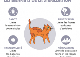 Bienfaits-Stérilisation