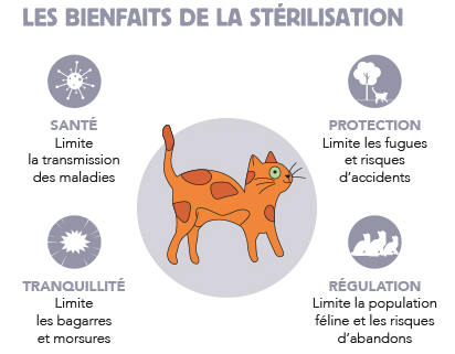 Bienfaits-Stérilisation