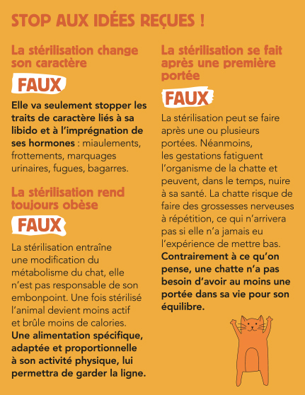 IdéesReçues-Stérilisation