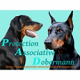 ProtectionAssociativeDobermann