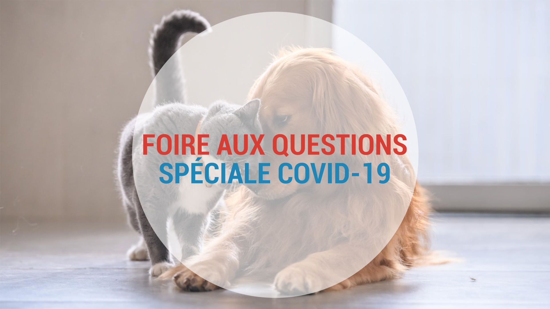 Visuel-FAQ
