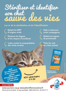 Affiche-Sterilisation-Identification