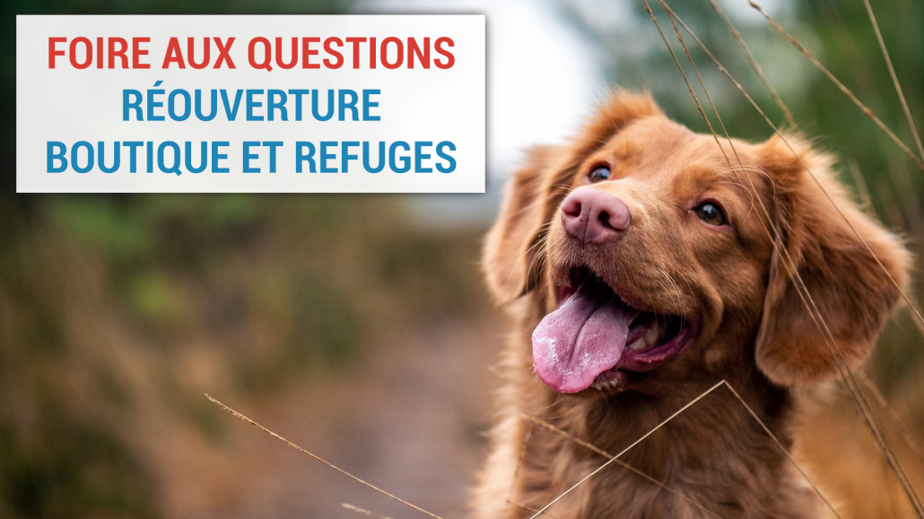 Visuel-FAQ-Réouverture