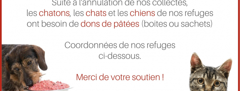 Appel aux dons de pâtées