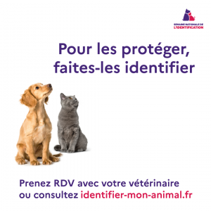 L'identification électronique des animaux