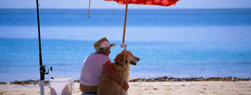 Chien-Parasol