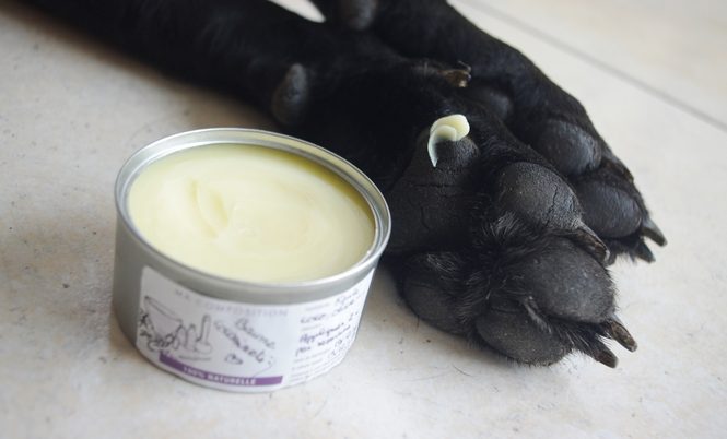 Crème de protection pour coussinet de chien