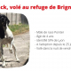 Avis recherche BLACK