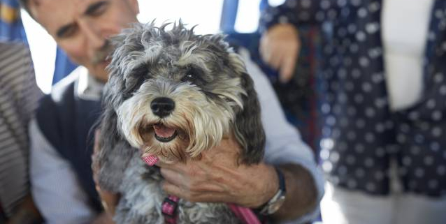 ChienBus-Istock