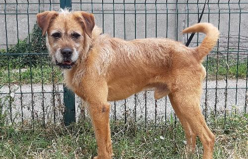 Murphy-328200