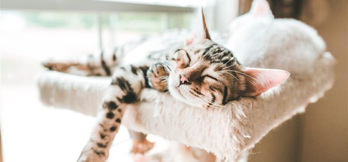 Chat-GettyImage