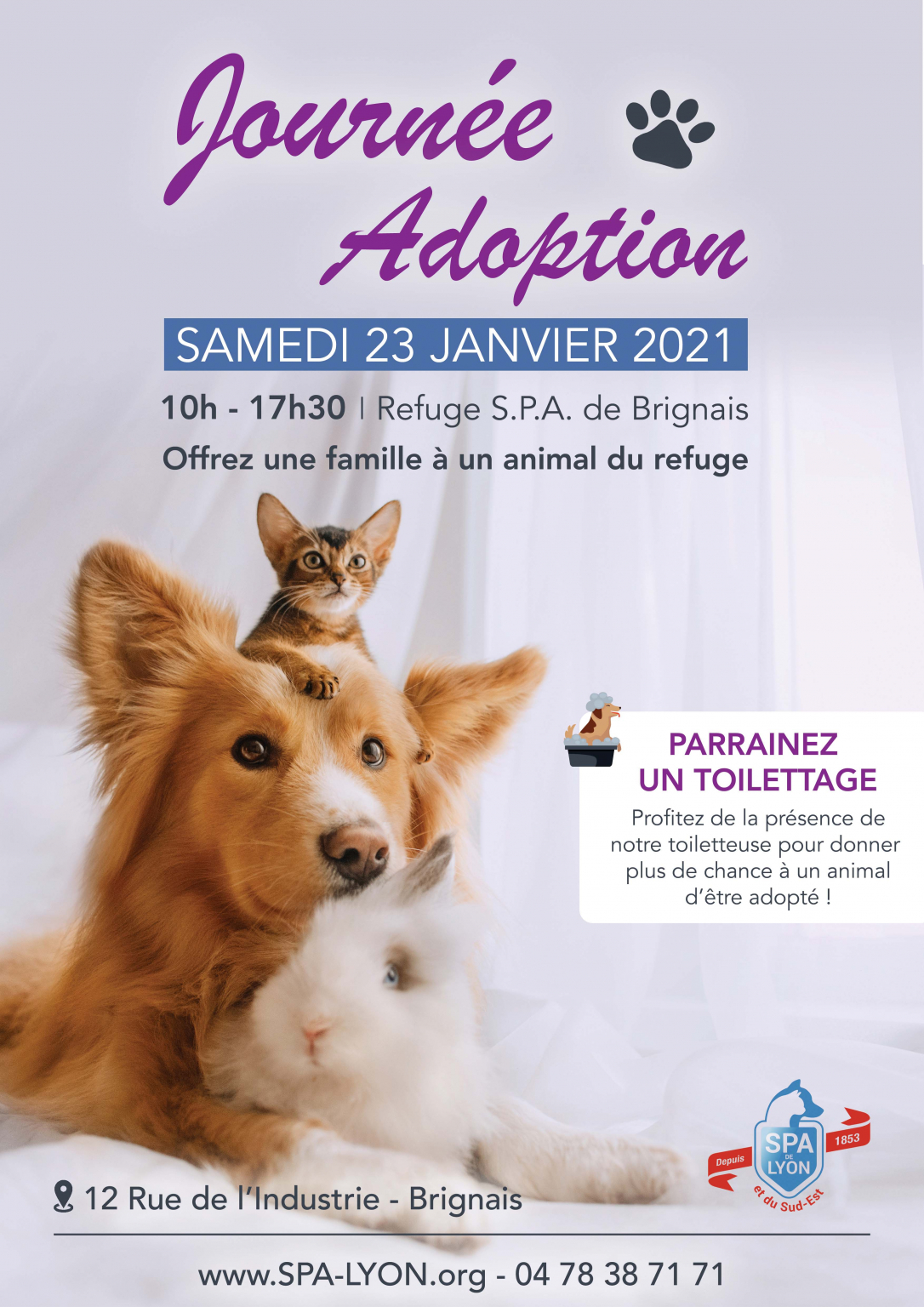 Journée de l'Adoption SPA Brignais Samedi 23 janvier 2021 SPA de