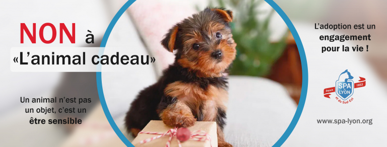 Campagne contre l'animal cadeau