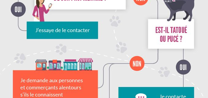 Je_trouve_un_animal_errant_que_faire
