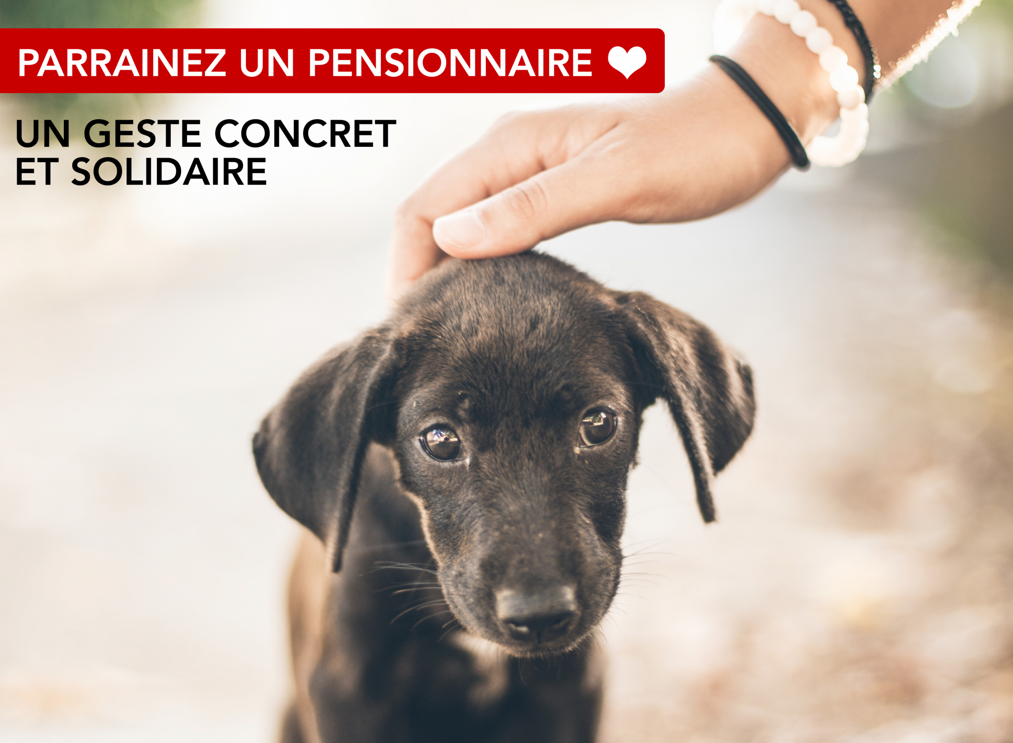 Offrir un parrainage animal