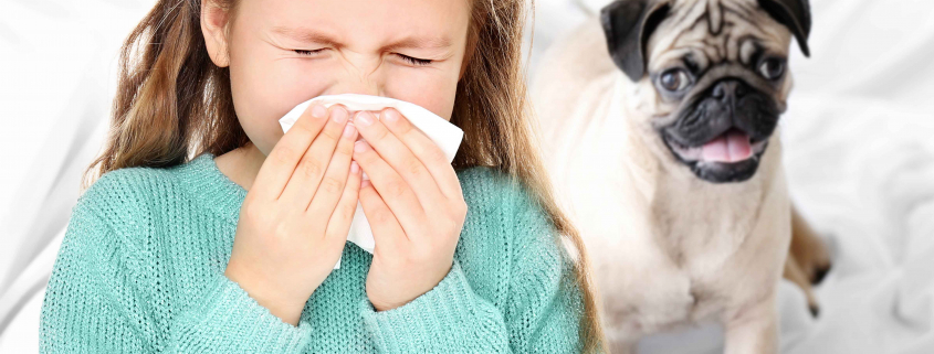 Enfant-Allergies_AdobeStock
