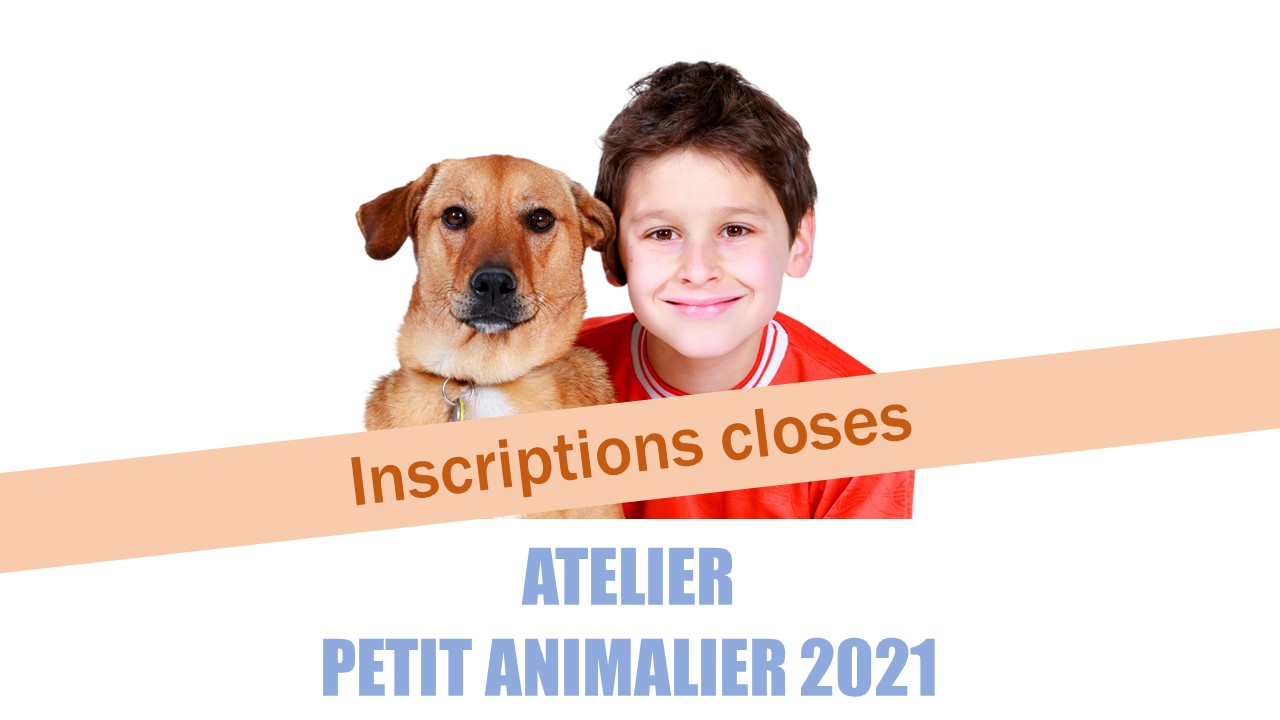 ﻿Atelier petit animalier 14 avril 2021 reporté