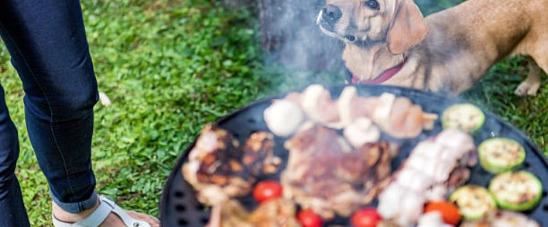 Barbecue-Istock