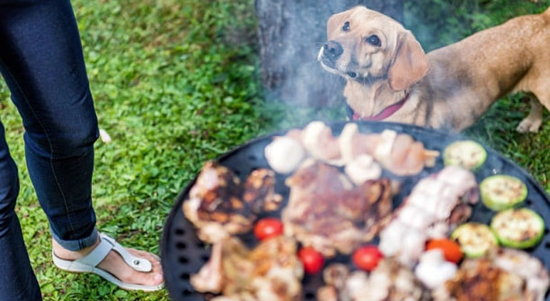 Barbecue-Istock