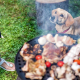 Barbecue-Istock