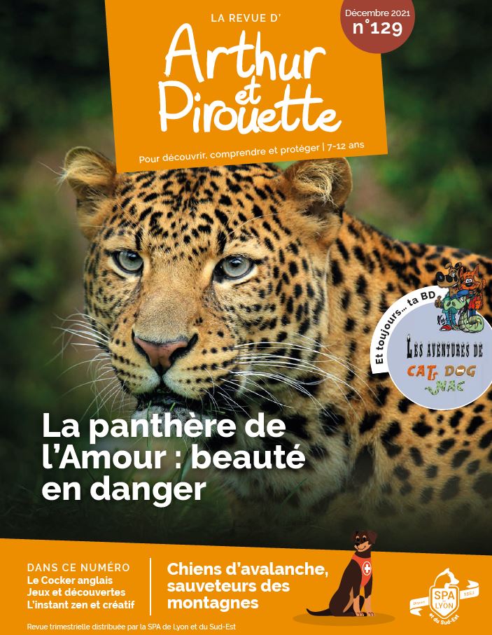 Arthur_Couverture_129