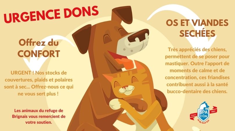 don pour hommage chien