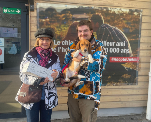 Adoption chien beagle refuge de Brignais