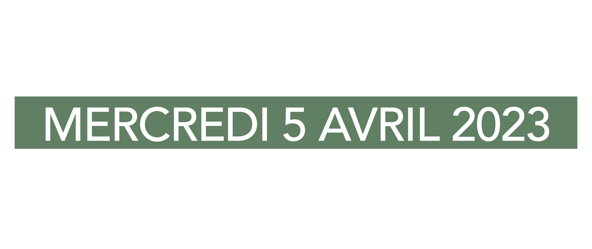 Braderie-Brignais-5Avril