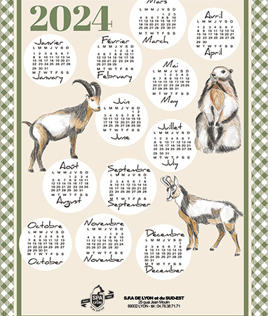 Calendrier Chatons - Boutique-la-spa.fr