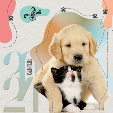 Torchon calendrier 2024 Chiens