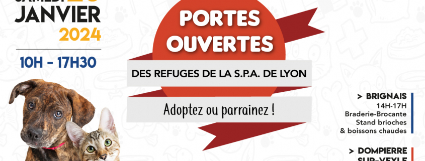 ArticleSite-JPOJanvier-2024