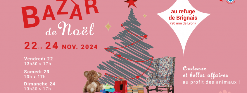 Bazar de Noel 2024