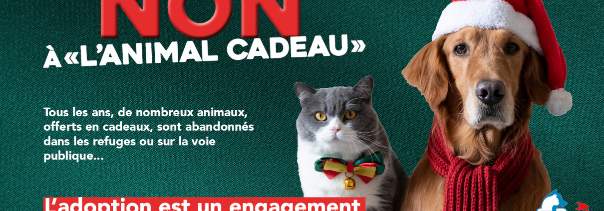 Non à l'animal cadeau - campagne hiver 2024 SPA de Lyon