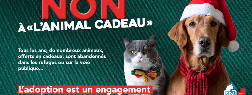 Non à l'animal cadeau - campagne hiver 2024 SPA de Lyon