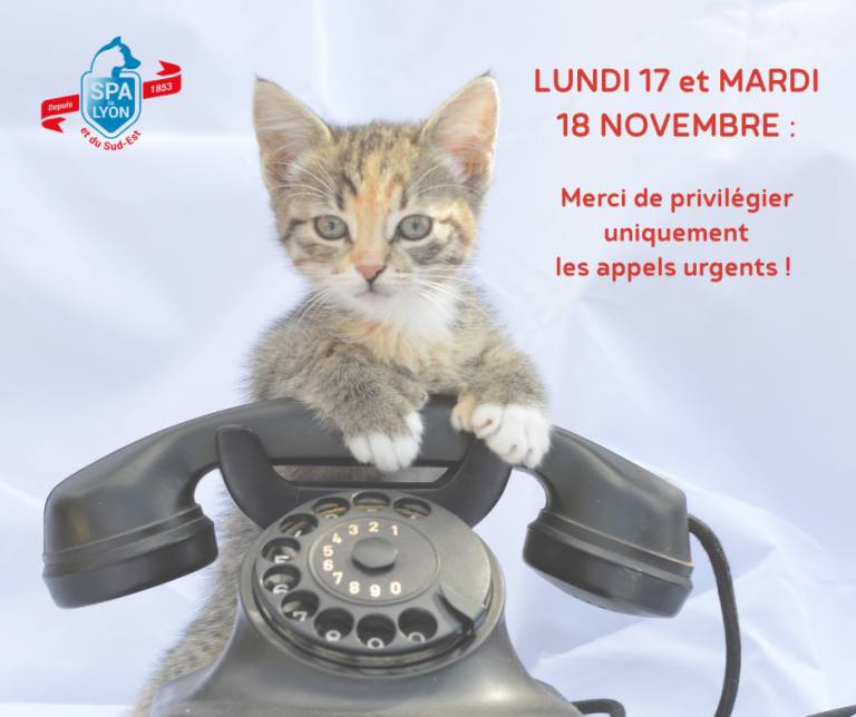 Info standard JM - 14.11.25 (site web)