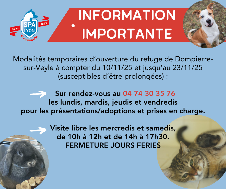 NOV. 2025 - Horaires temporaires DP