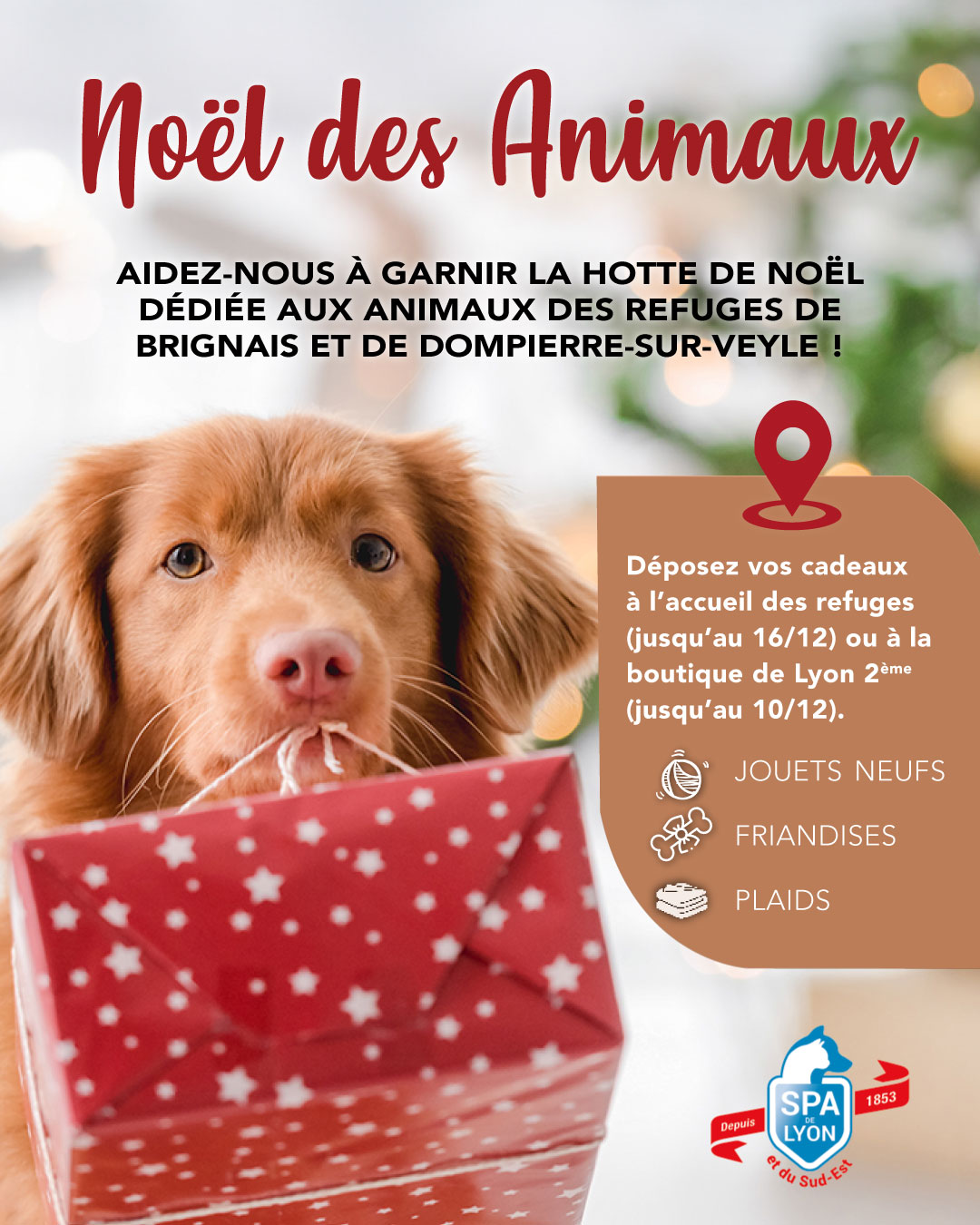 Post_Insta_Fb_Link_NoeldesAnimaux_Décembre2025