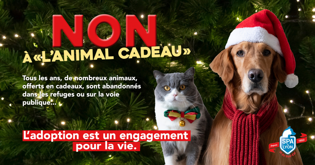 Campagne Hiver 2025 SPA de Lyon "Non à l'animal cadeau"