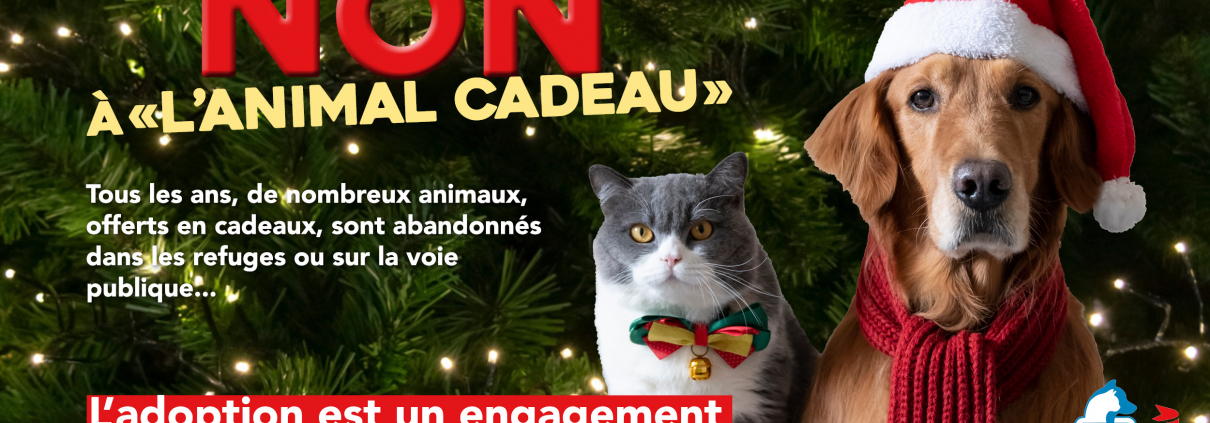 Campagne Hiver 2025 SPA de Lyon "Non à l'animal cadeau"